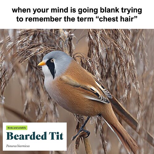 545229168_10162930285171329_4162587279918293231_n