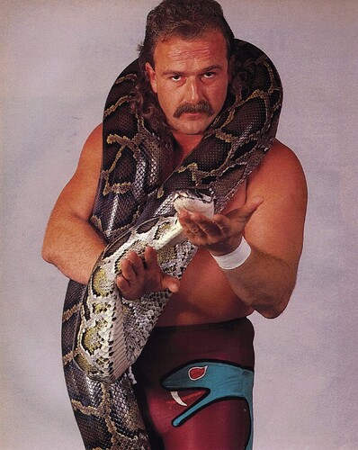 Jake_Roberts