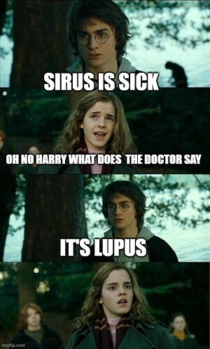 Sirius-is-sick-Lupus