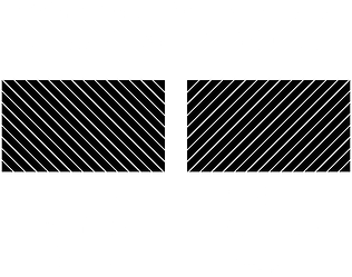 polfilter