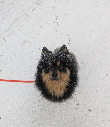 PXL_20251231_091546262