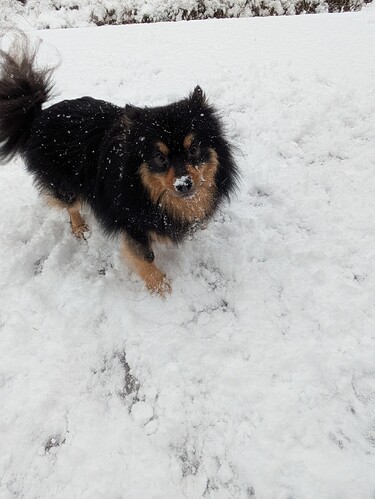 PXL_20251231_112357788.MP