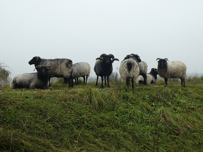 2025-11-08-15-12-18-957