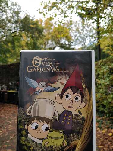 otgw