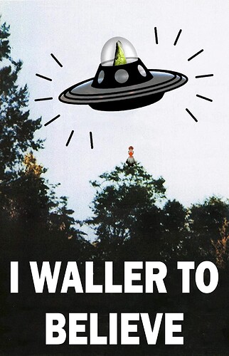 Waller_to_Believe_3