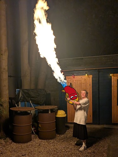 Mel_Raketenbahne_Feuer