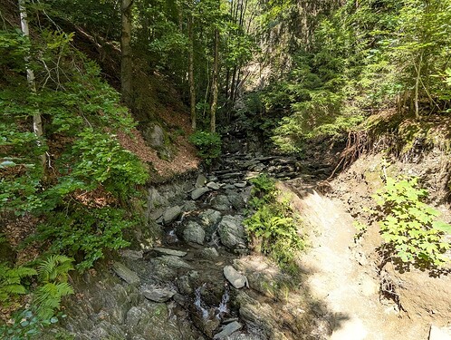 PXL_20250807_115202422