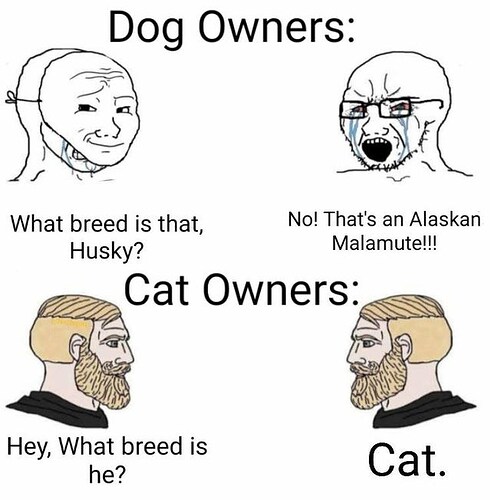 dog-owners-what-breed-is-that-husky-no-thats-an-alaskan-malamute-cat-owners-hey-what-breed-is-cat