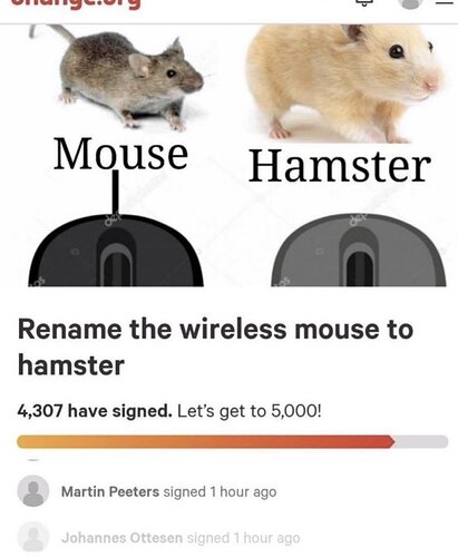 hamster