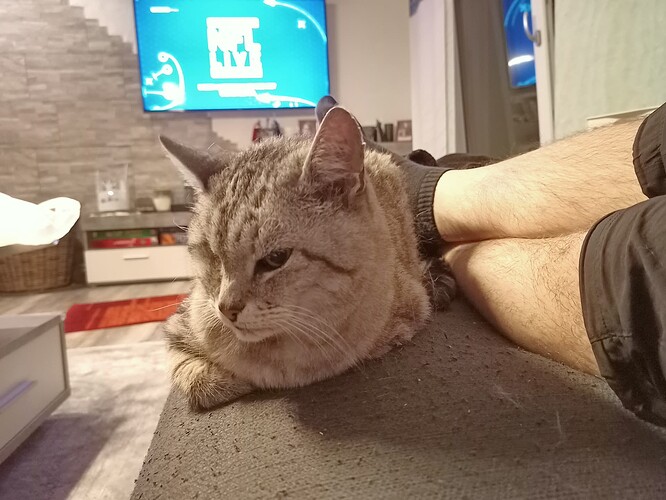 IMG20240908221656