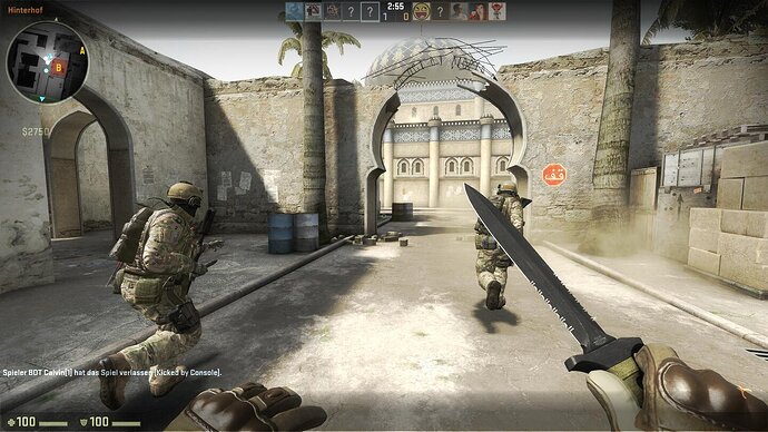 Counter-Strike Global Offensive