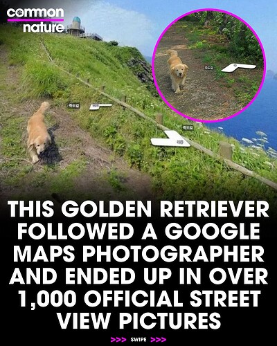 1000022103