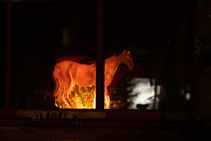 Pferd im Fenster