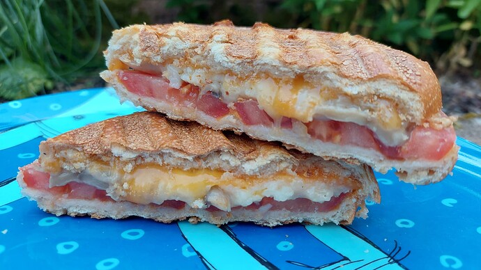 Brötchen mit Champignons, Tomaten und Käse