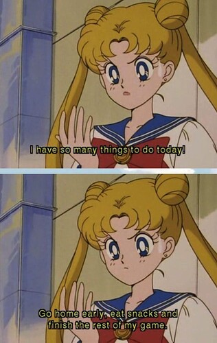 041-sailor-moon-busy-day-meme