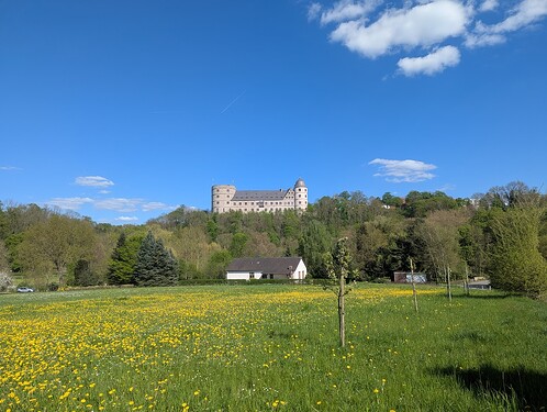 PXL_20250426_141958521