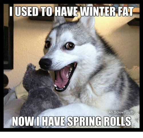 rolls-spring-meme