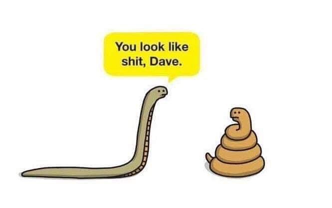 dave