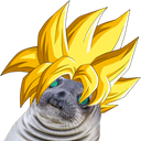 supersaiyajinJochen