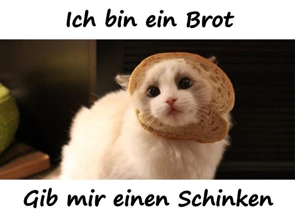 ich_bin_ein_brot_2798