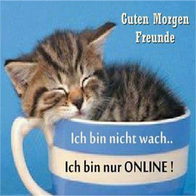 Funny-Guten-Morgen