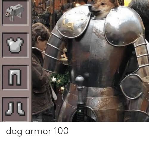 dog%20armor