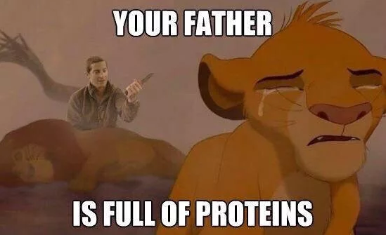 LionKIngBearGrylls