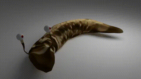 snail_second_blender_animation_lowres