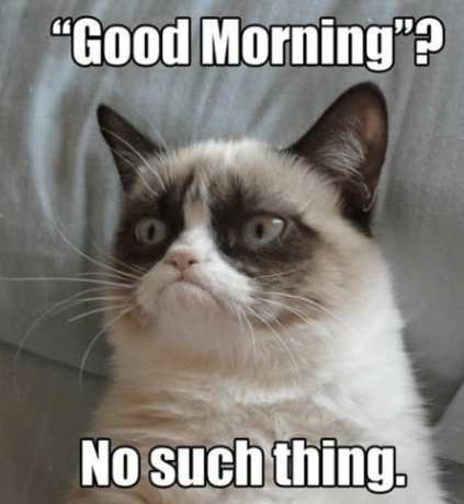 Screenshot_2019-05-09%20morning%20grumpiness%20-%20Google-Suche