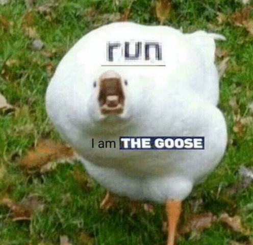 I%20am%20the%20goose