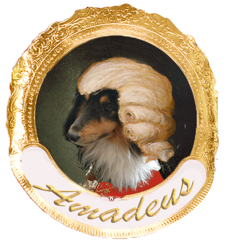 amadeus2