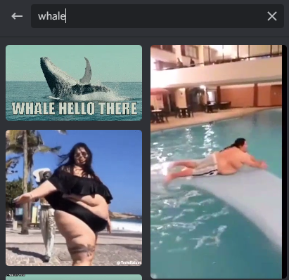 whale