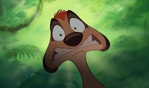 Timon