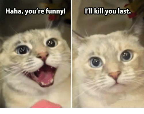 haha-youre-funny-ill-kill-you-last-3497535