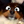 :shocked_rikon: :shocked_rikon: