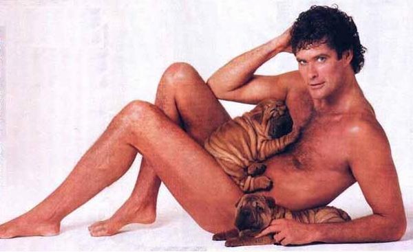 HOFF