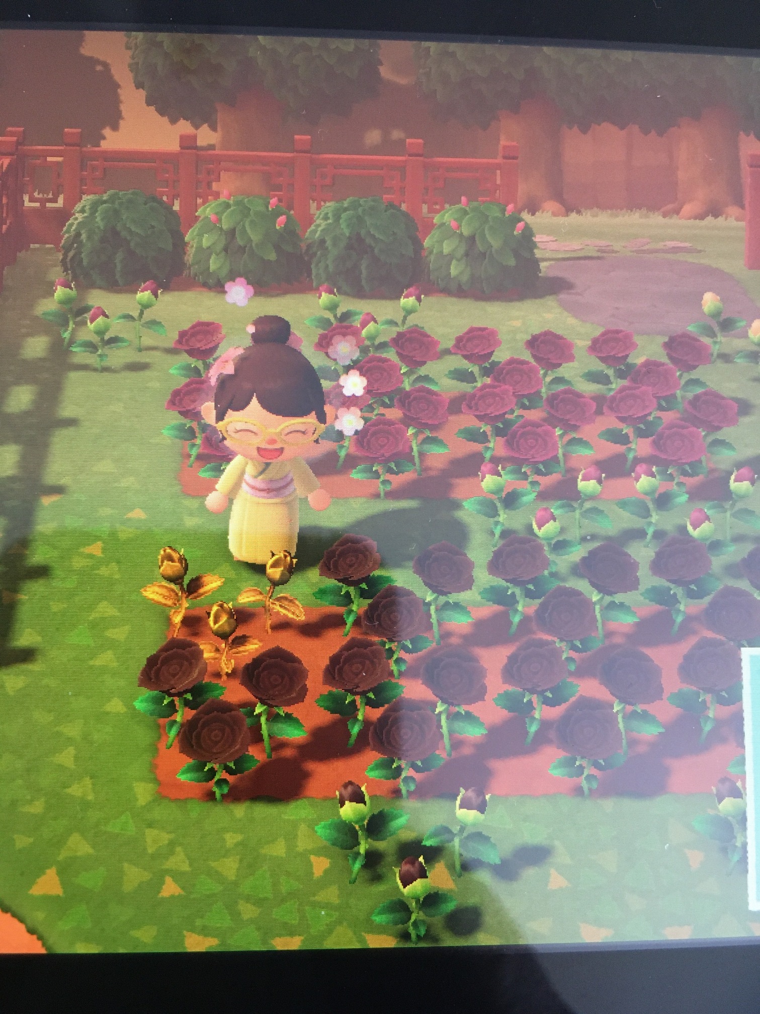 Animal Crossing New Horizons Freundescodes Tipps Tricks Ideen Games Forum Rocket Beans Tv