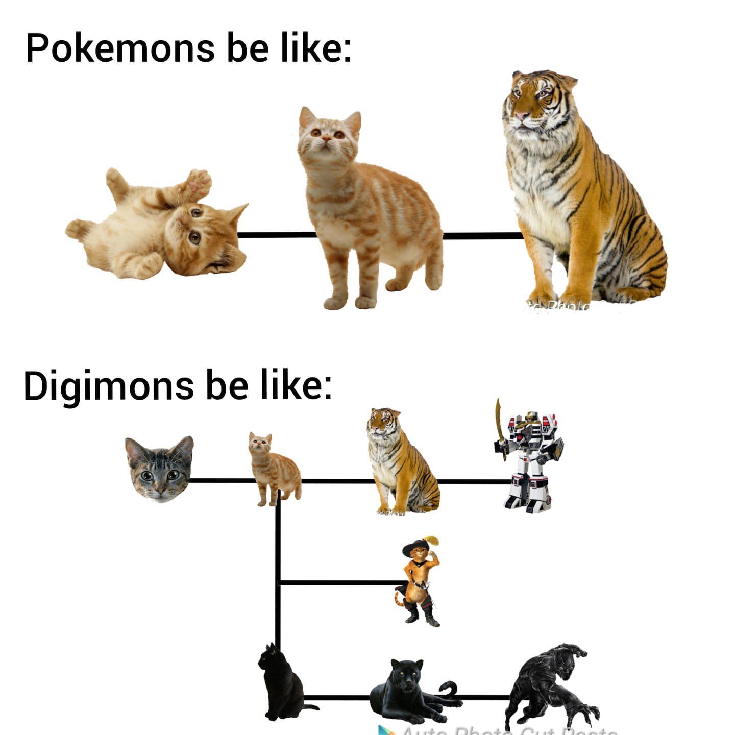 Игра мемы эволюция. Эволюция кошачьих. Коты Эволюция. Эволюционированные коты. Коты эволюционируют.