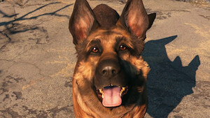 Dogmeat_in_Fallout_4