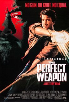 Perfect_weapon_poster