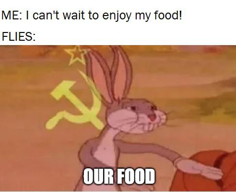 euswsxza7gg51
