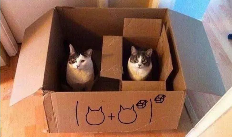 cat_and_cat_in_box_in_box