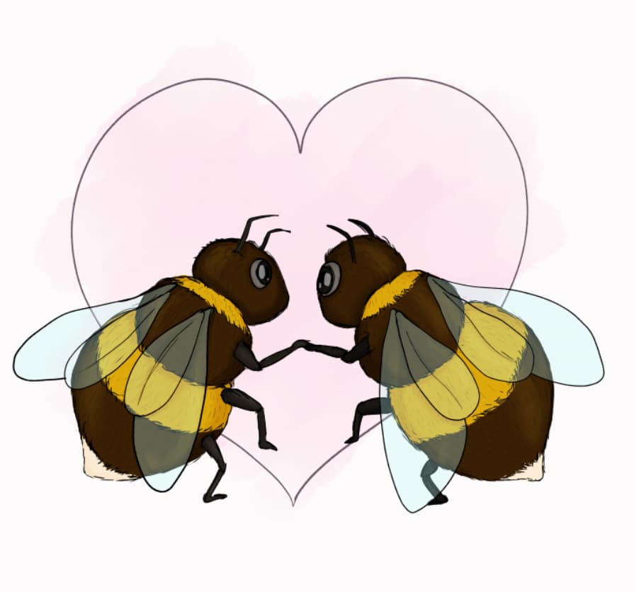 Bildschirmfoto 2025-07-01 um 22.27.54