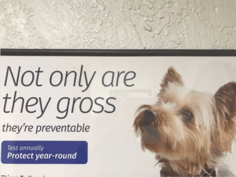 gross_and_preventable
