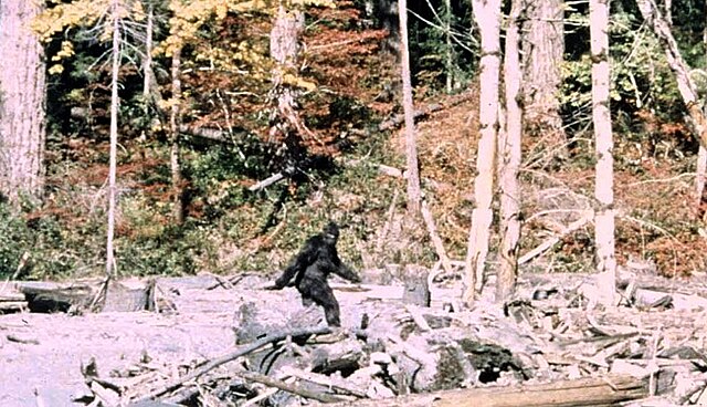 Patterson_Gimlin_Bigfoot