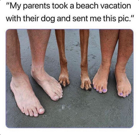 grafik