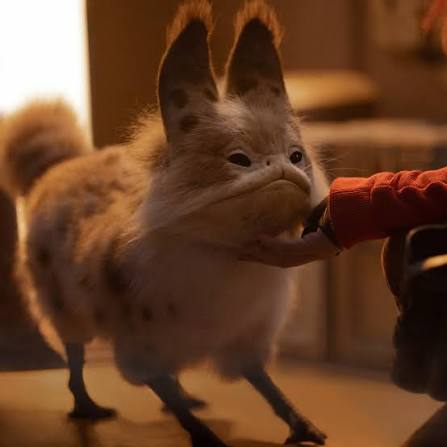 17658000842337378724123555847210