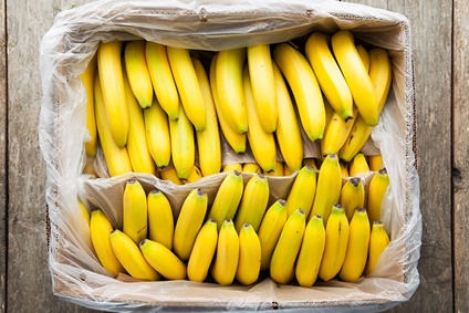 Fair-Trade-Bananen-Kiste