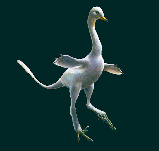 halzkaraptor