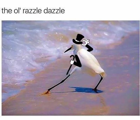 The-ol-razzle-dazzle-meme